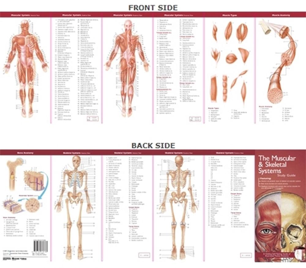 hazarika ent textbook pdf