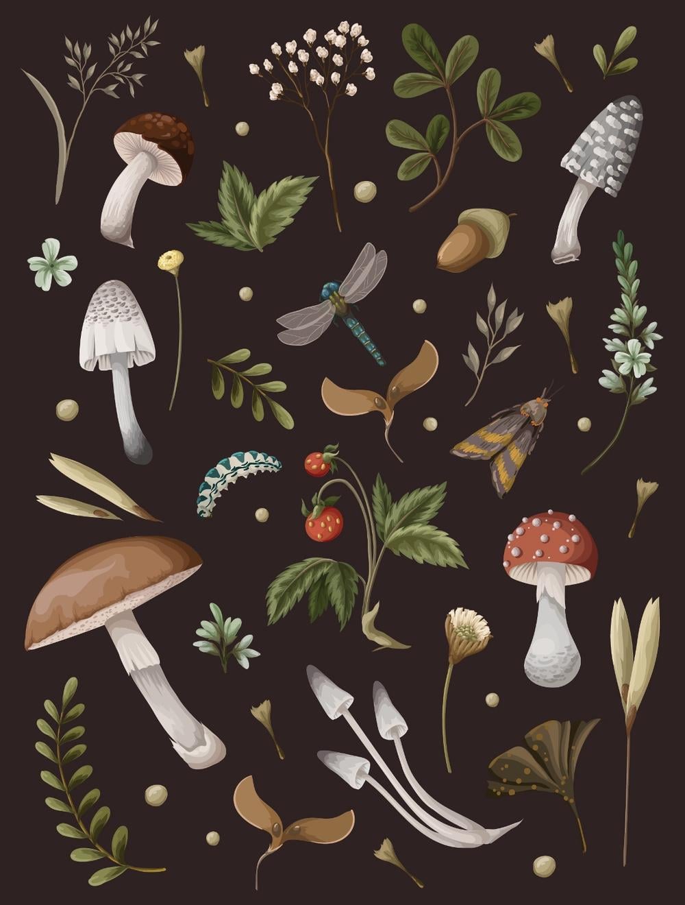 Editors of Chartwell Books Mushroom Lined Journal by Editors of Chartwell Books - ISBN: 9780785843832