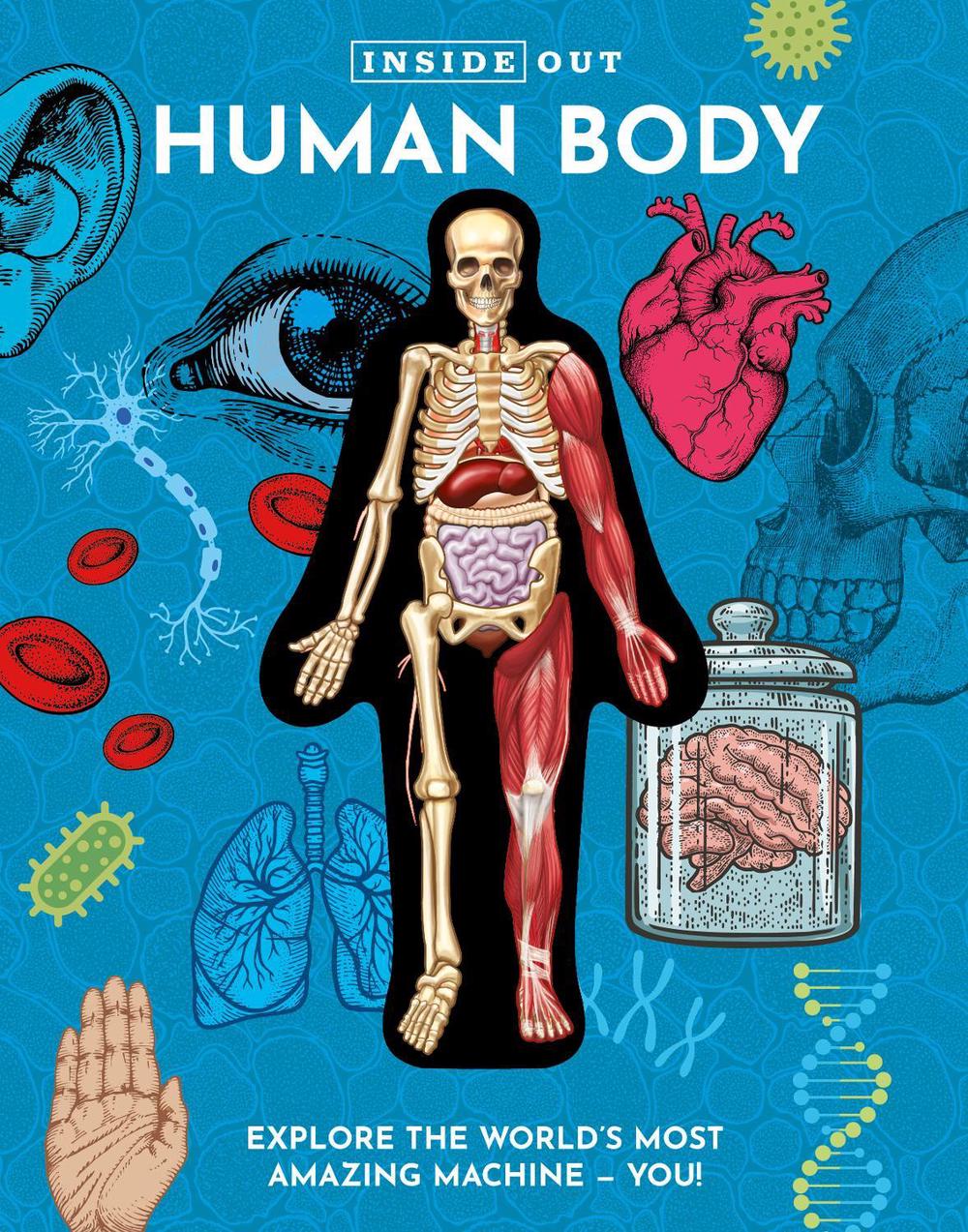 Inside Out Human Body, 9780785845799