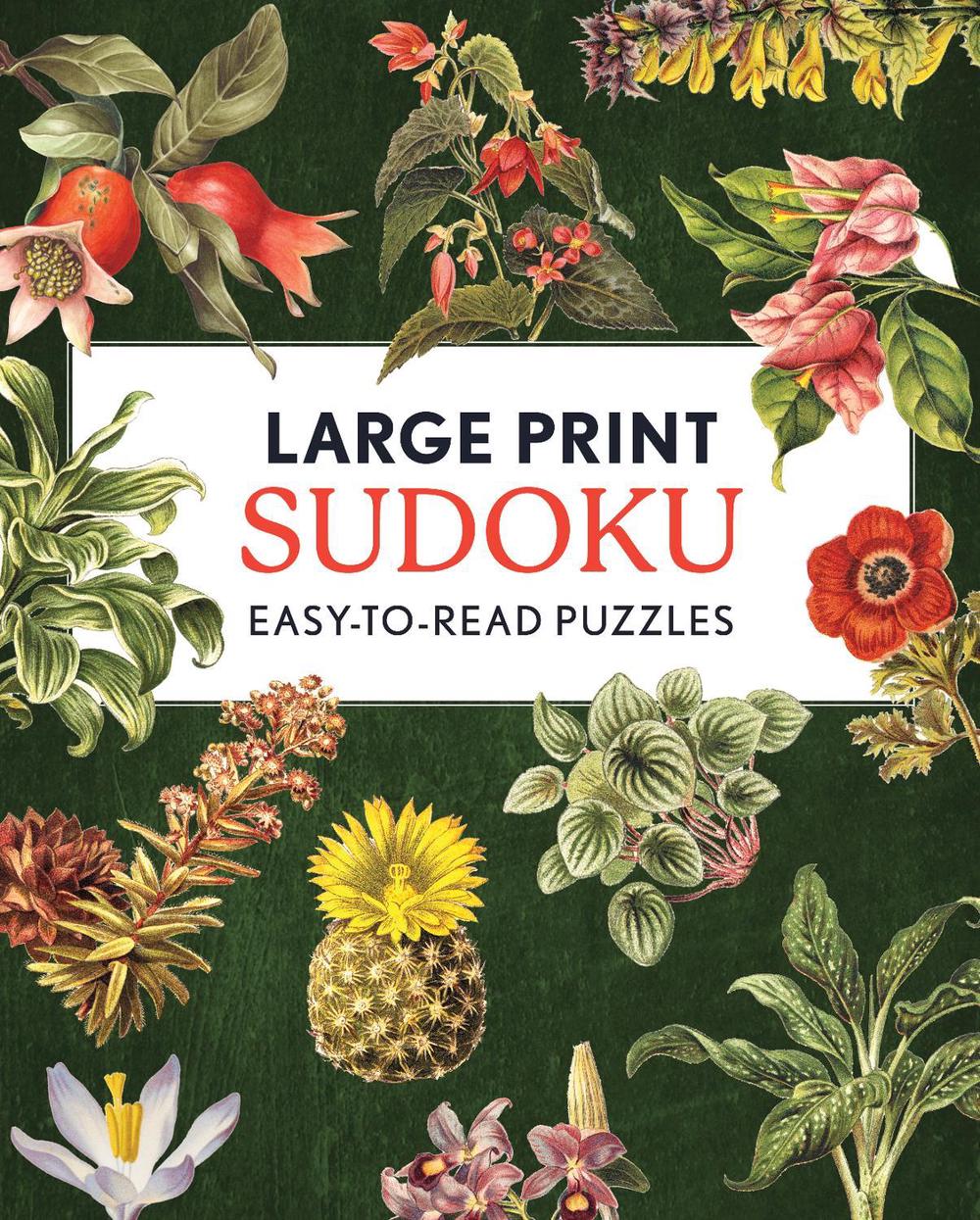 Large Print Sudoku, 9780785847984