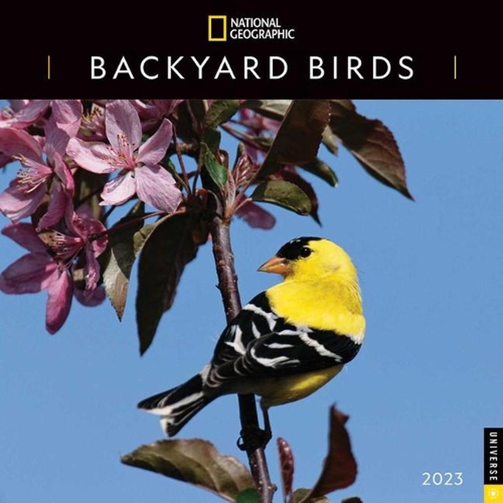 national-geographic-backyard-birds-2023-wall-calendar-by-national