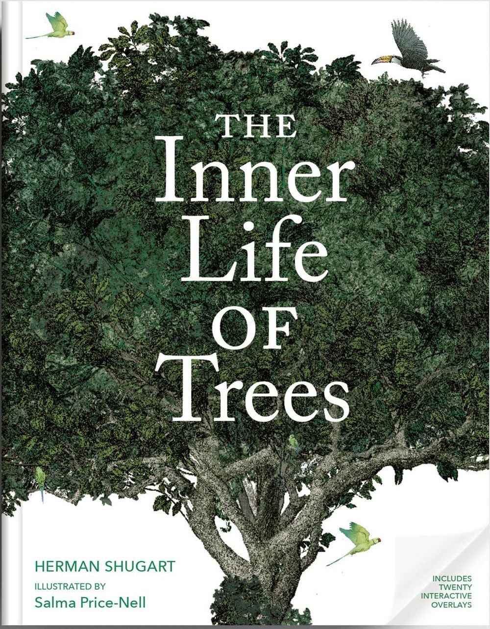 The Inner Life of Trees by Professor Hank Shugart - ISBN: 9780789346742