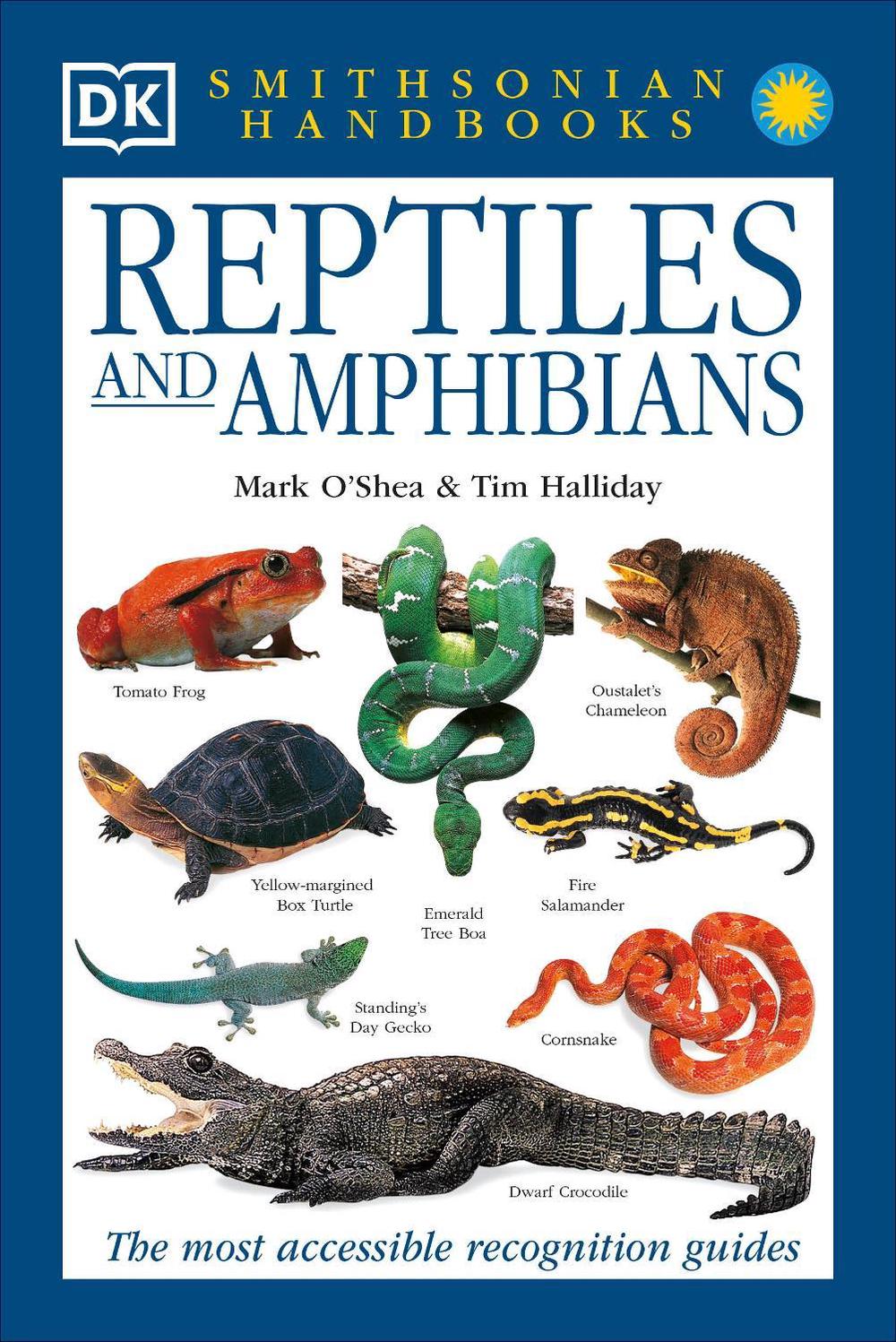 Family Tree Amphibian To Reptile Evolution Reptiles Amphibians