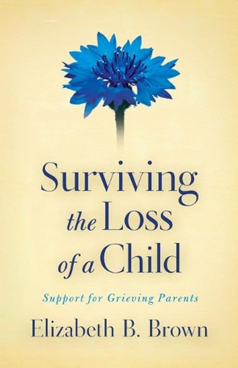 Surviving the Loss of a Child – Support for Grieving Parents by ...