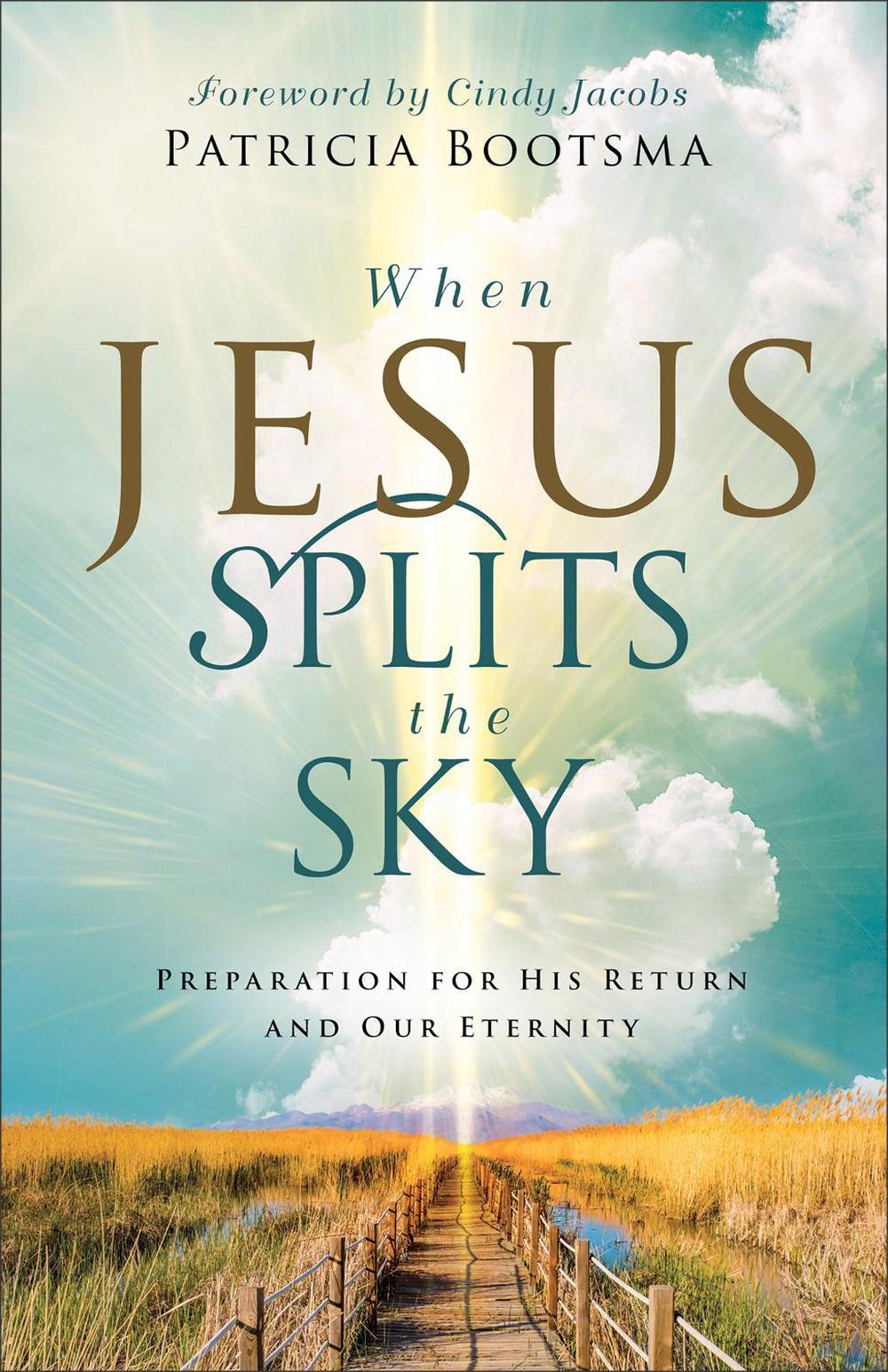 When Jesus Splits the Sky, 9780800772772