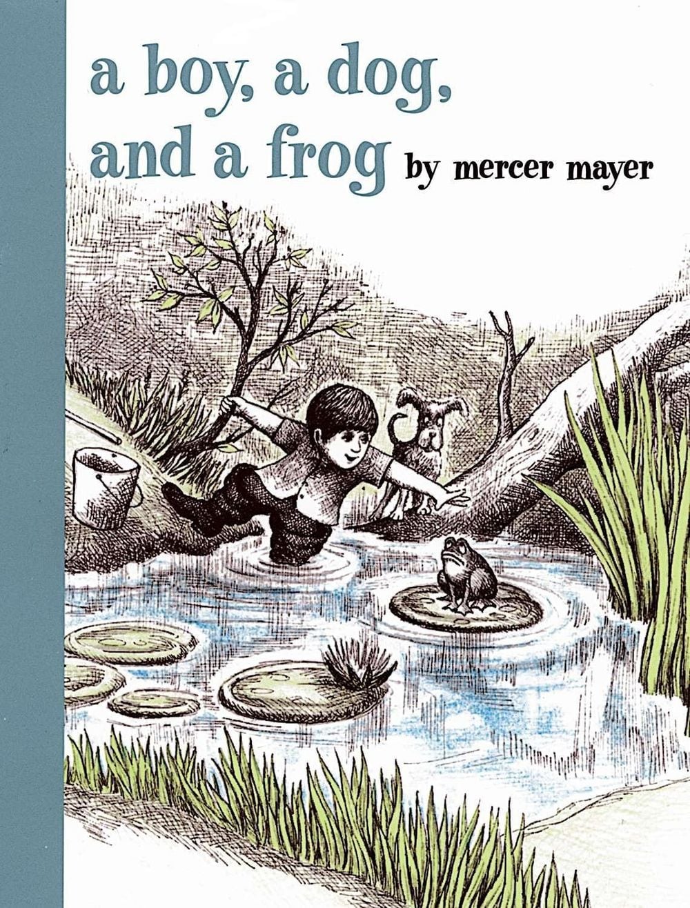 A Boy, a Dog, and a Frog by Mercer Mayer - ISBN: 9780803728806