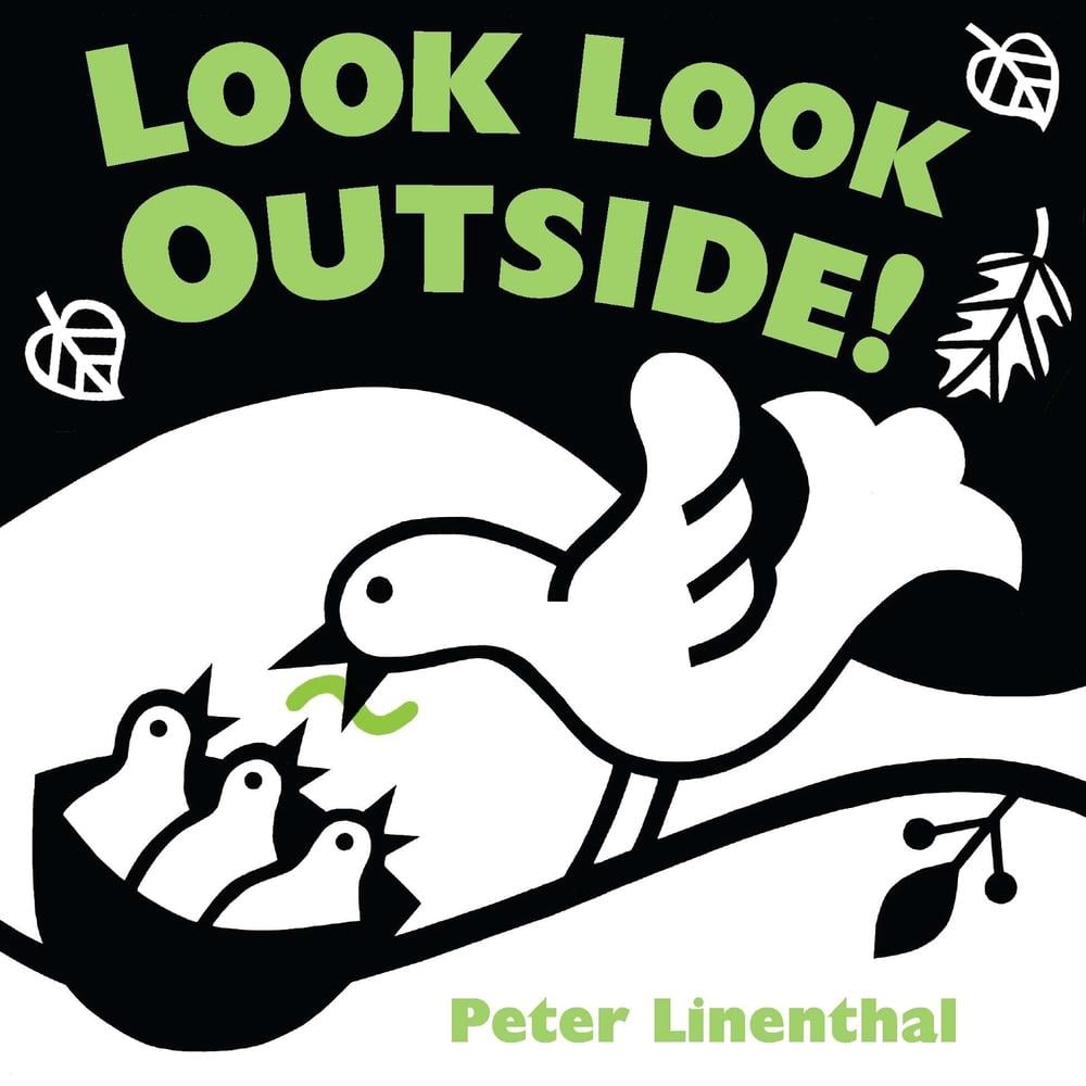 Look Look Outside by Peter Linenthal - ISBN: 9780803737297