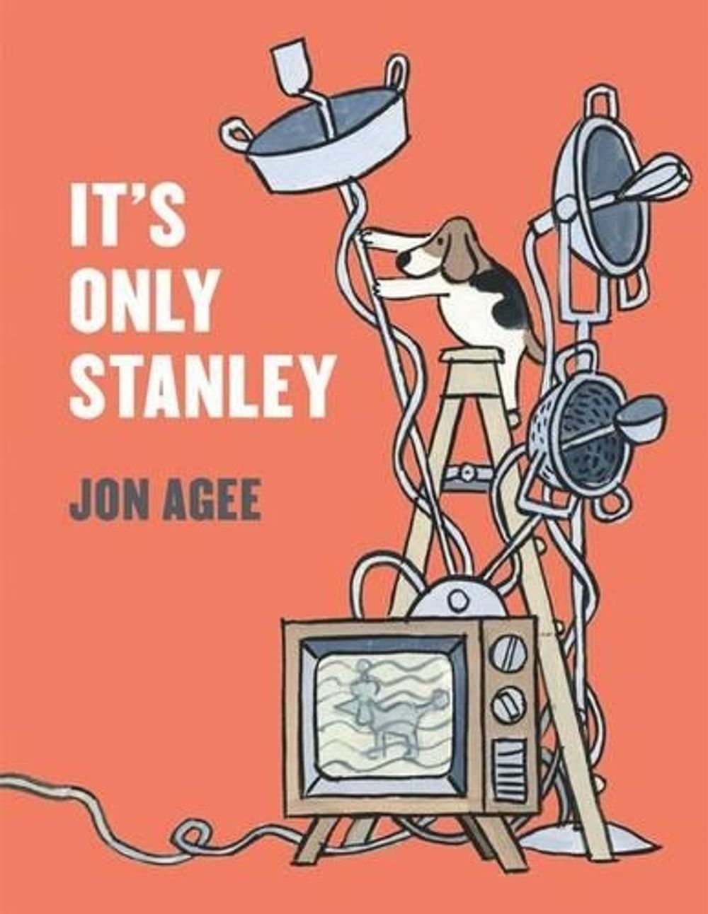 It's Only Stanley by Jon Agee - ISBN: 9780803739079