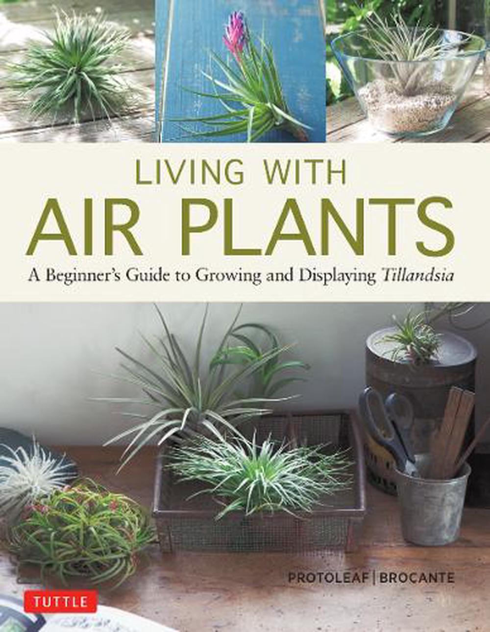 Living with Air Plants, 9780804851046