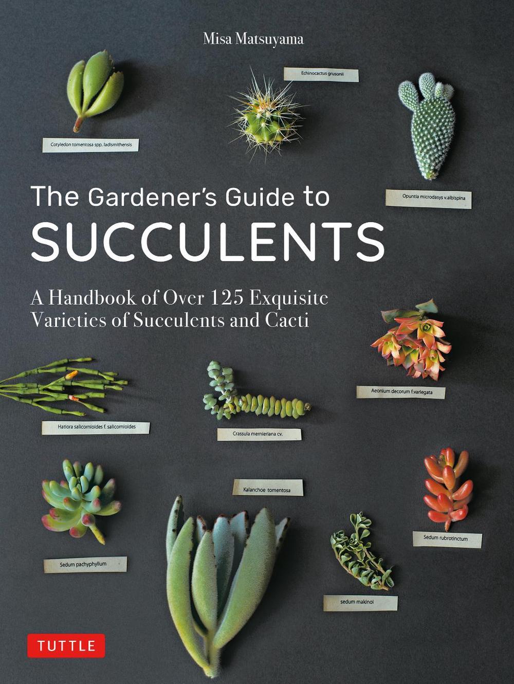 The Gardener's Guide to Succulents, 9780804851060