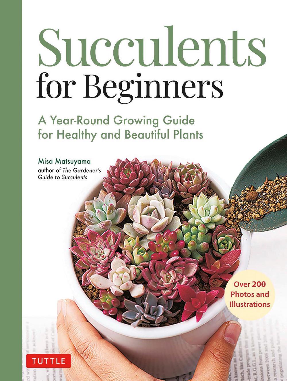 Succulents for Beginners, 9780804854603