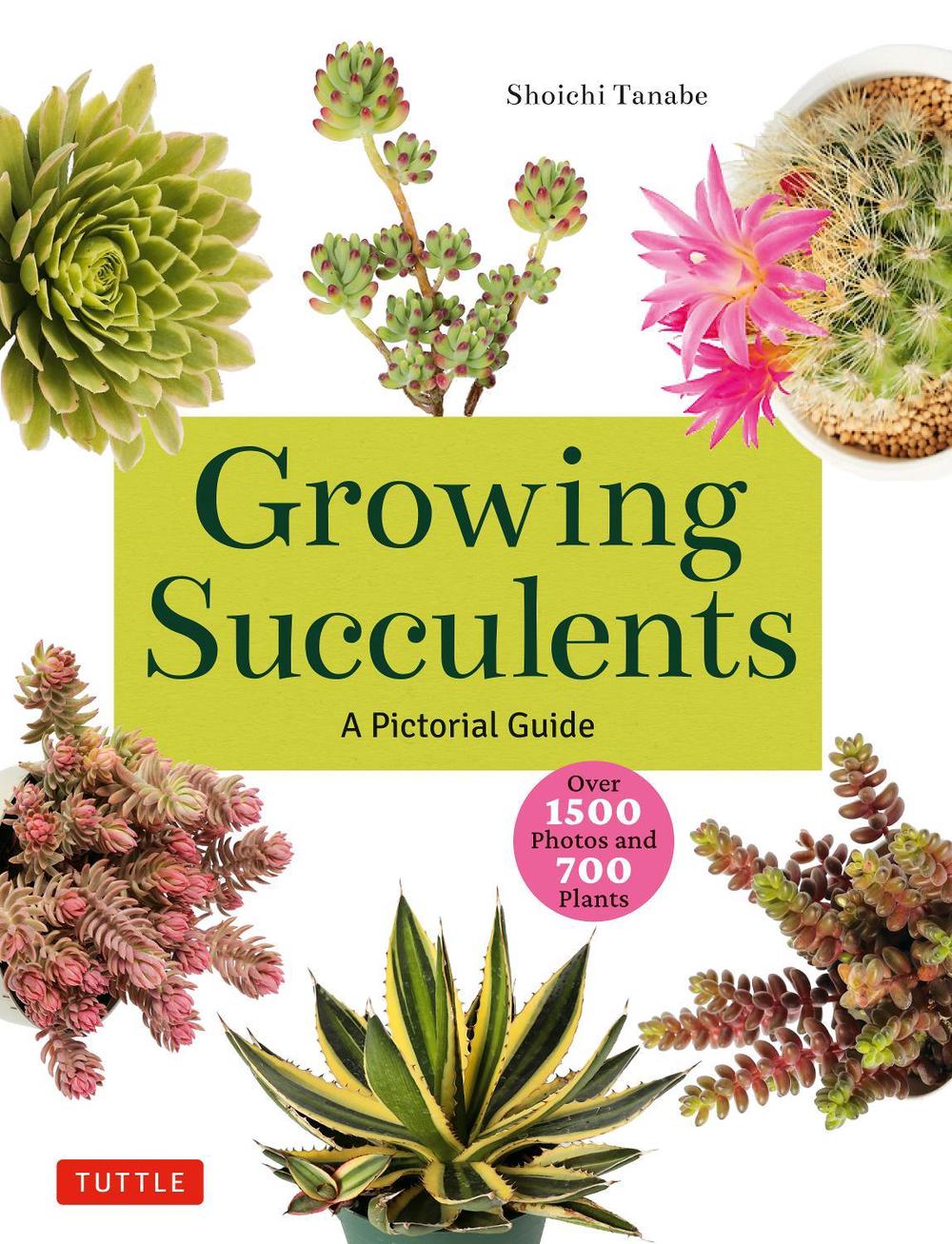 Growing Succulents, 9780804855532