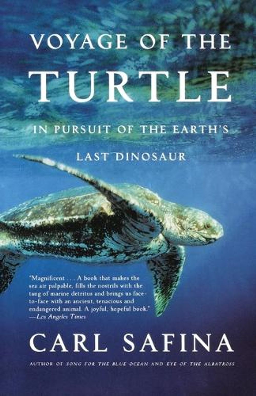 Voyage of the Turtle by Carl Safina - ISBN: 9780805083187