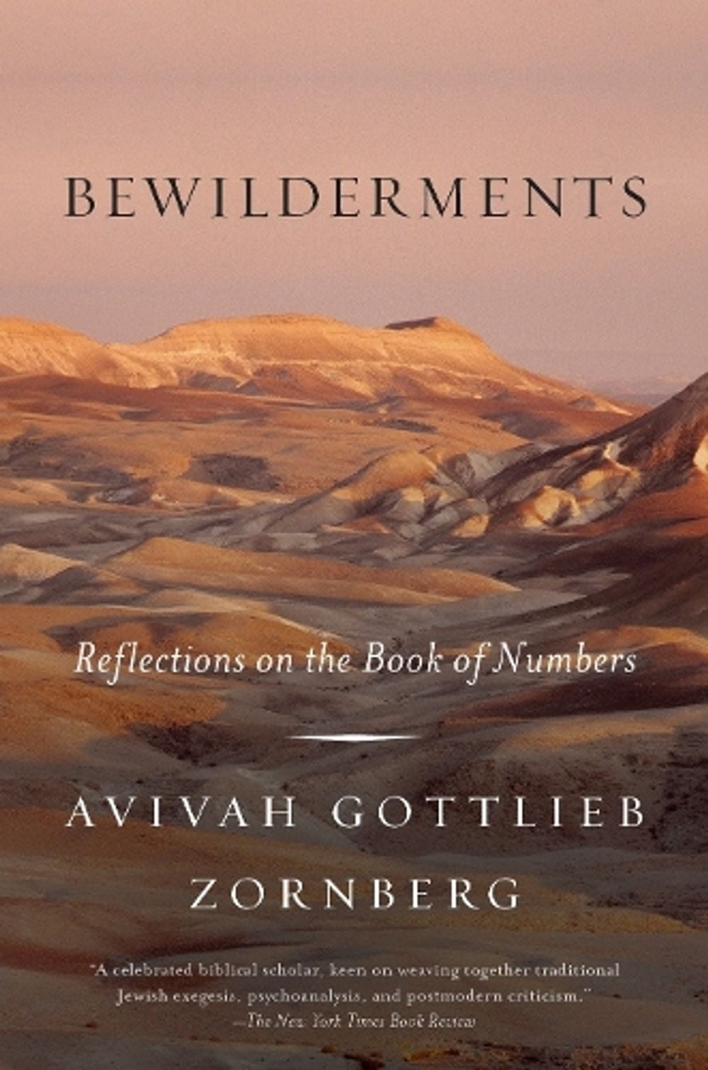 Bewilderments by Avivah Gottlieb Zornberg - ISBN: 9780805212518