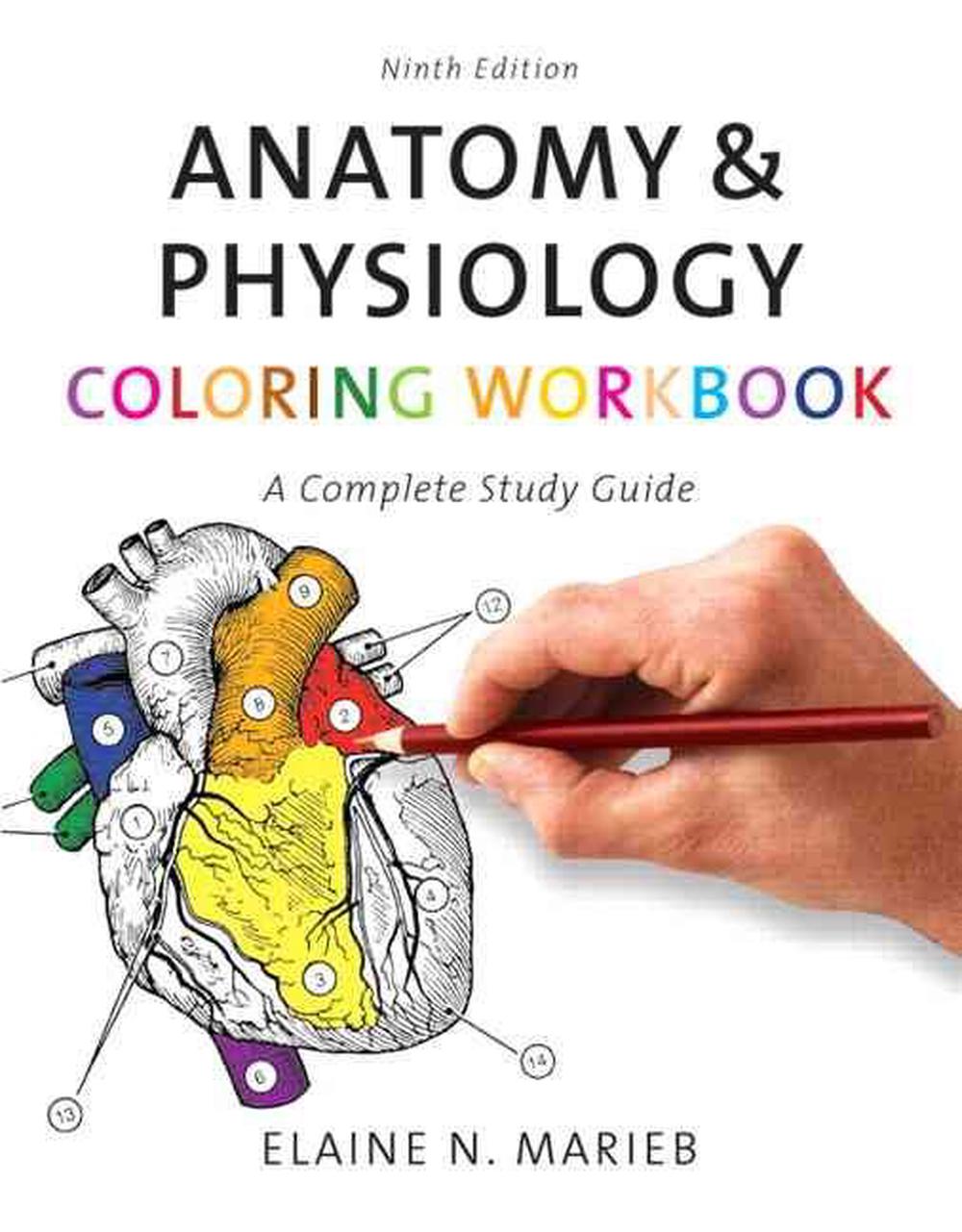 Anatomy & Physiology Coloring Workbook A Complete Study Guide by