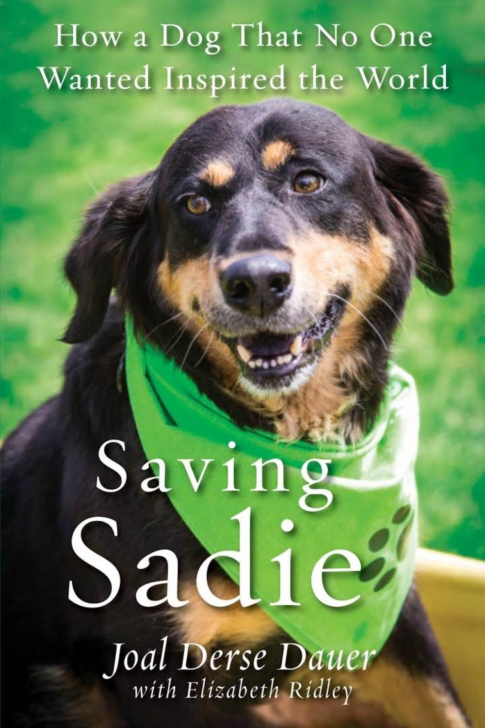 Saving Sadie by Joal Derse Dauer - ISBN: 9780806538389