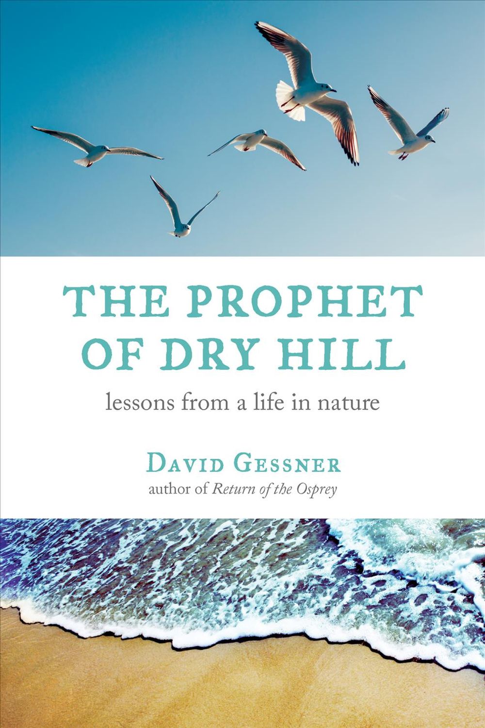 The Prophet of Dry Hill by David Gessner - ISBN: 9780807005989
