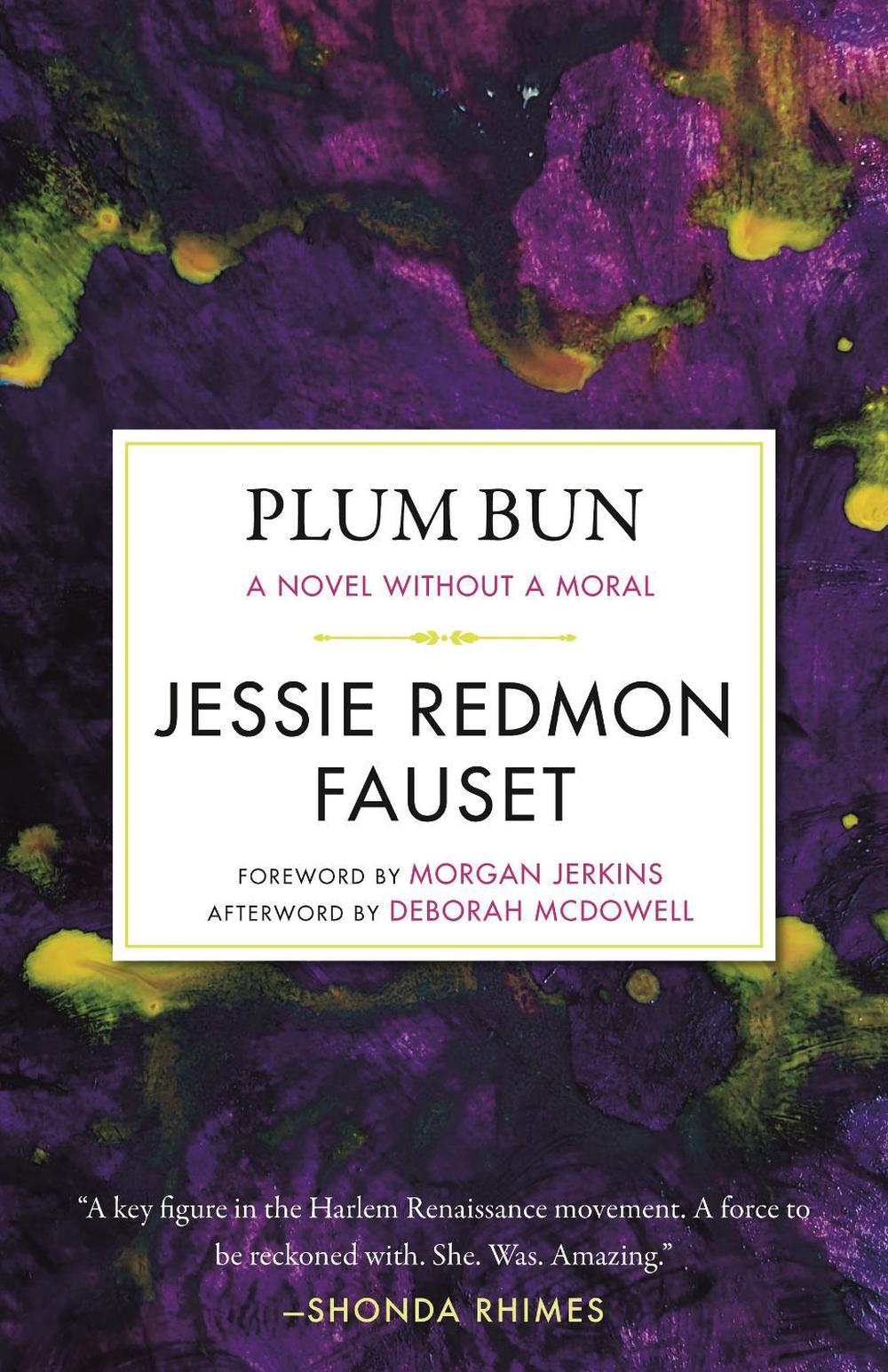 Plum Bun by Morgan Jerkins - ISBN: 9780807006603