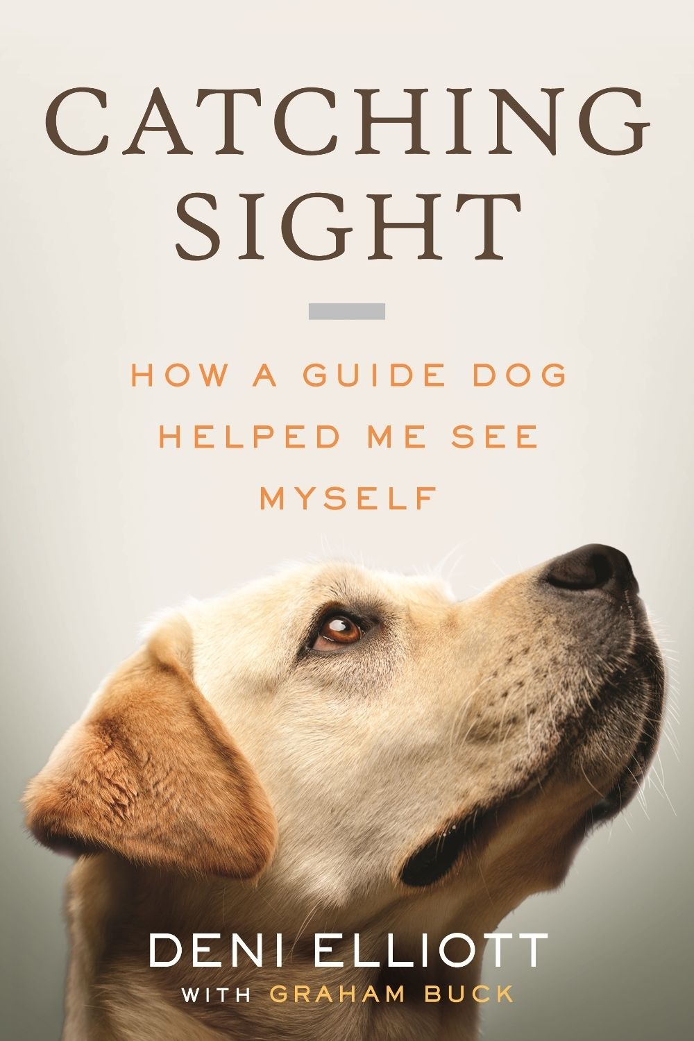 Catching Sight by Deni Elliott - ISBN: 9780807022542