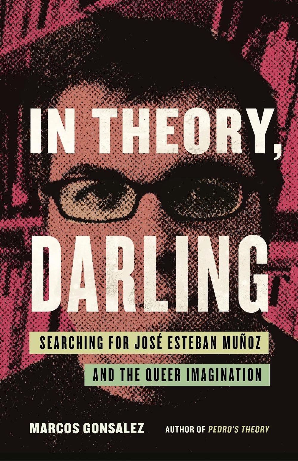 In Theory, Darling by Marcos Gonsalez - ISBN: 9780807022771