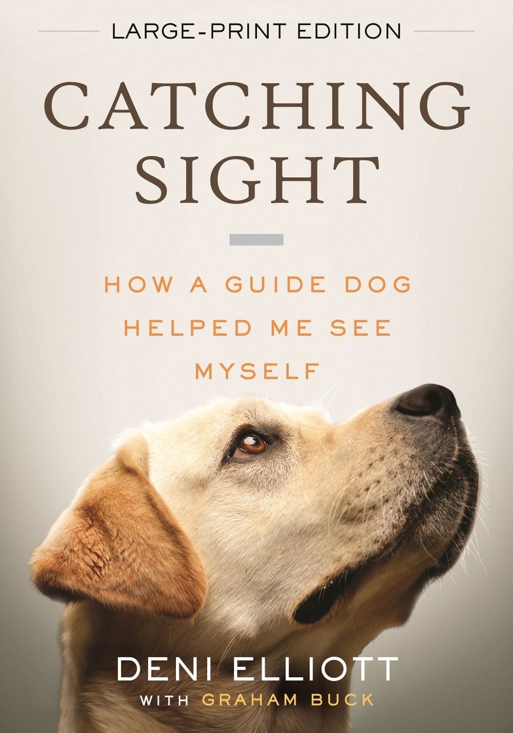 Catching Sight (LARGE PRINT EDITION) by Deni Elliott - ISBN: 9780807024850