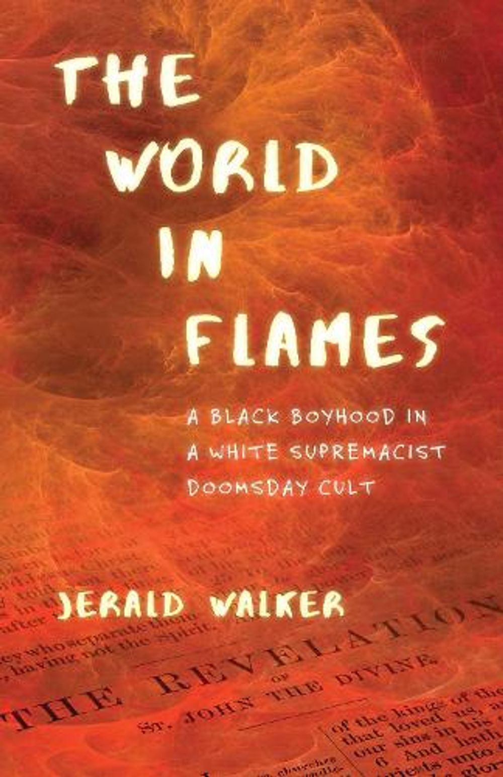 The World in Flames by Jerald Walker - ISBN: 9780807036082