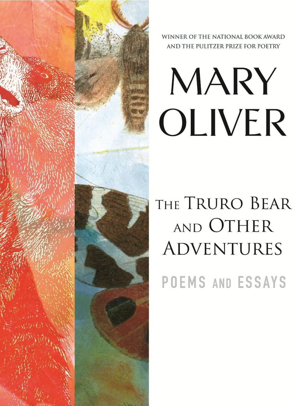 The Truro Bear and Other Adventures by Mary Oliver - ISBN: 9780807068854
