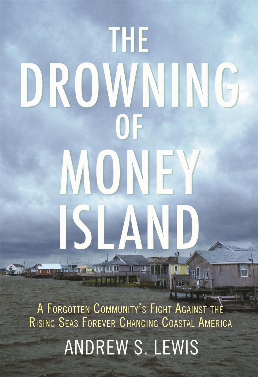 The Drowning of Money Island by Andrew S. Lewis - ISBN: 9780807083581