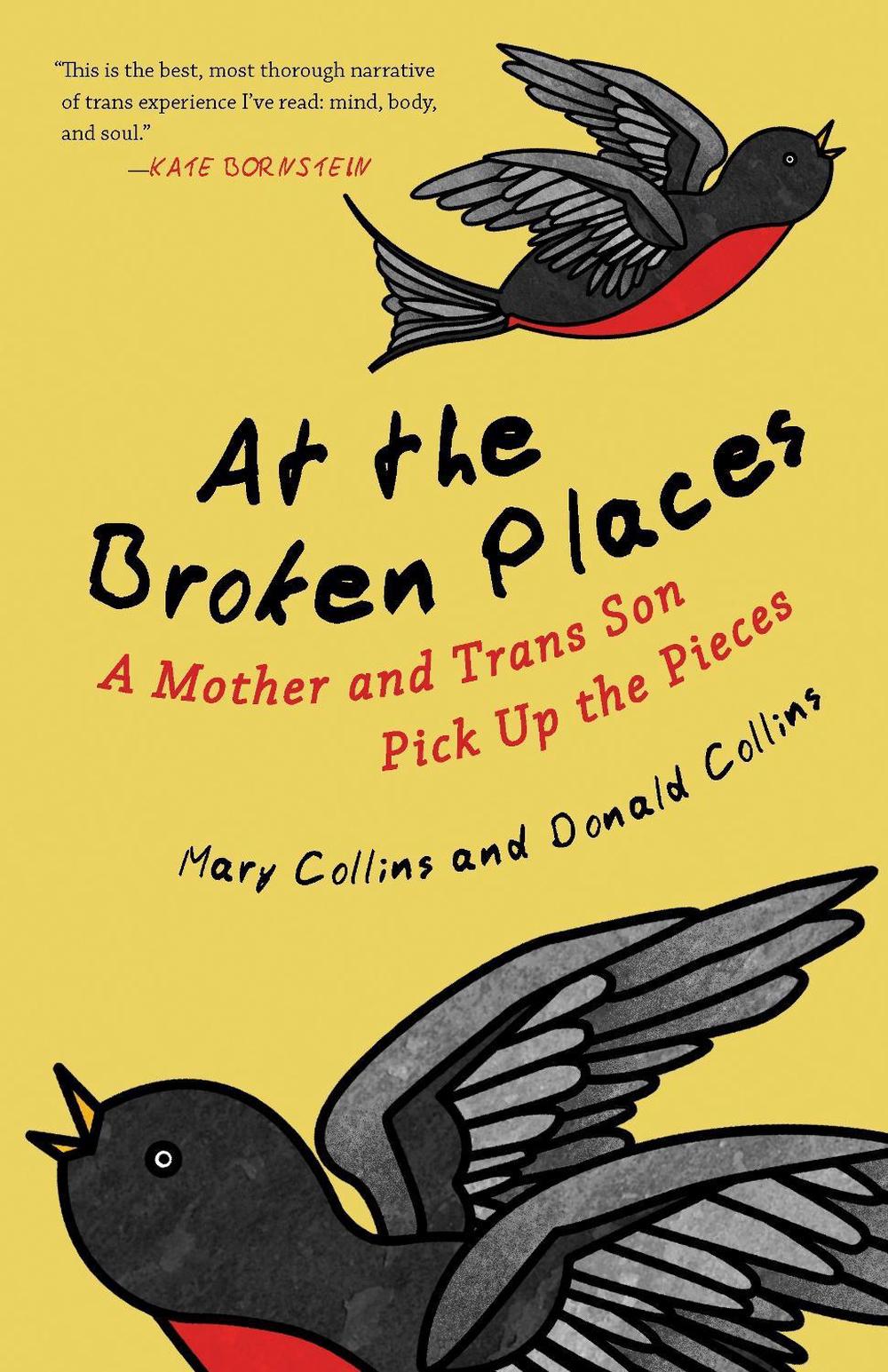 At the Broken Places by Mary Collins - ISBN: 9780807088357