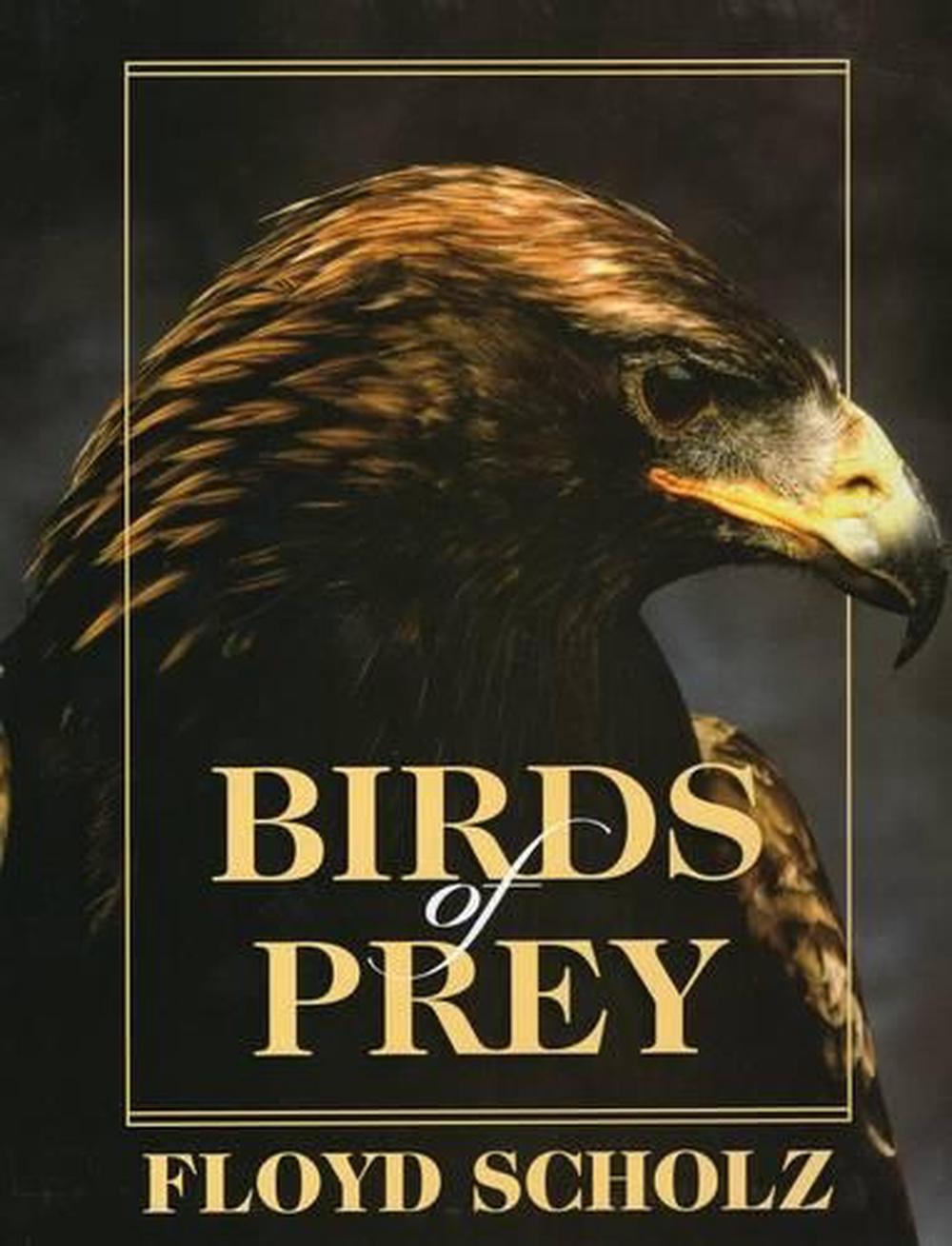 Birds of Prey by Floyd Scholz, Hardcover, 9780811702423 | Buy online at ...