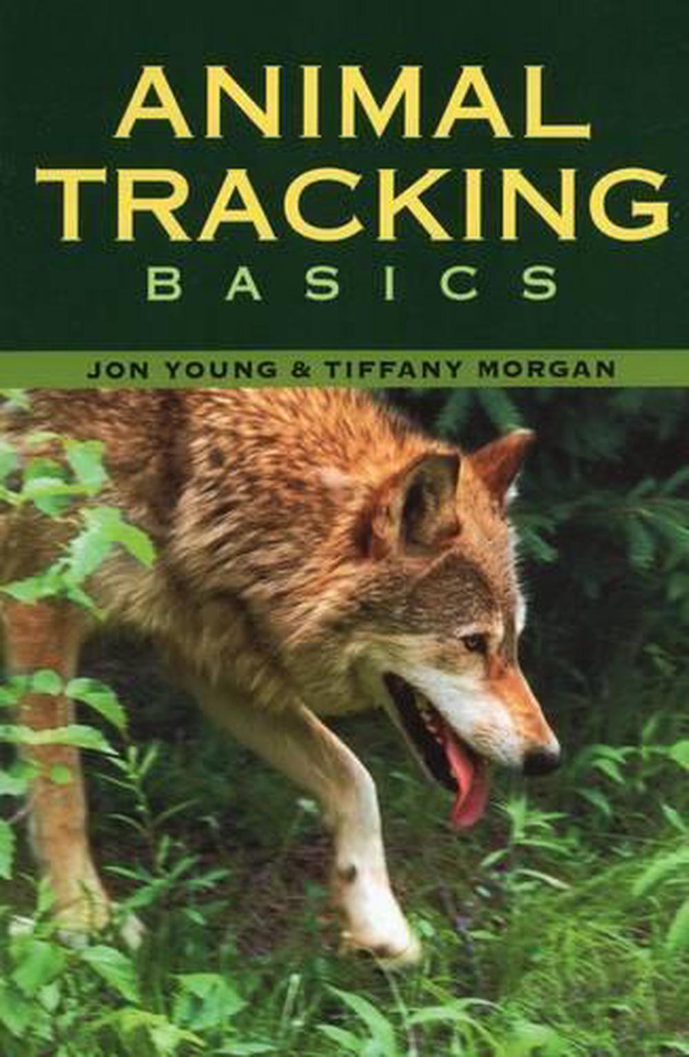 Animal Tracking Basics by Jon Young, Paperback, 9780811733267 Buy