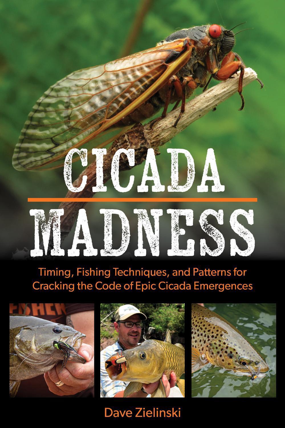 Cicada Madness by Dave Zielinski - ISBN: 9780811771825