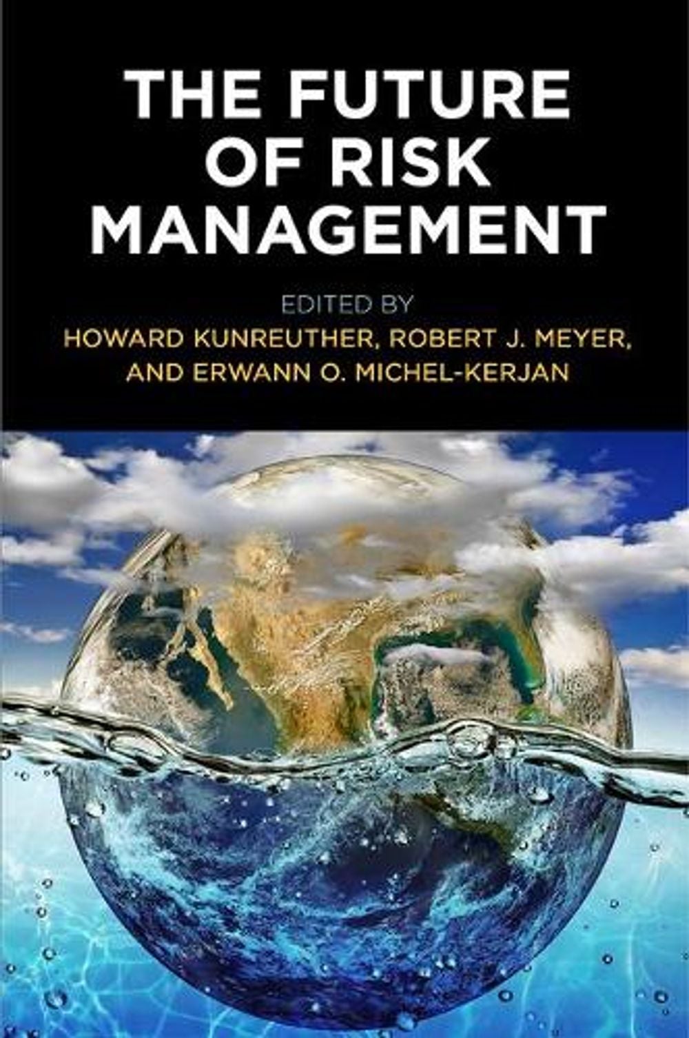 The Future of Risk Management by Howard Kunreuther - ISBN: 9780812225082