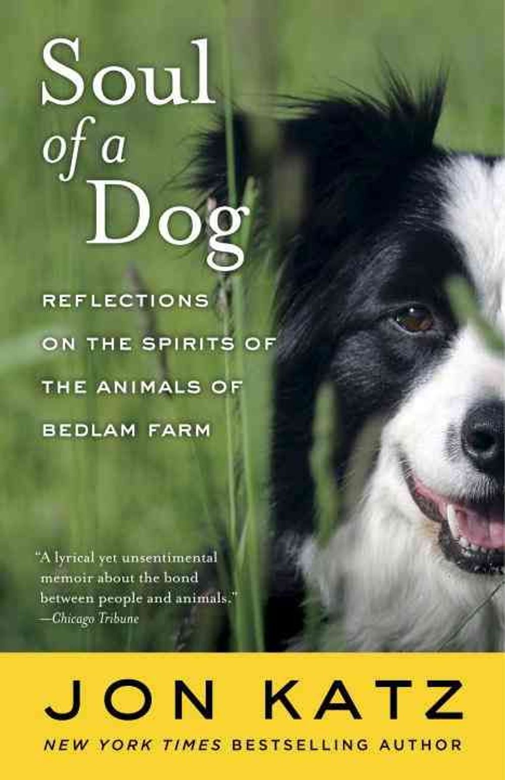 Soul of a Dog: Reflections on the Spirits of the Animals of Bedlam Farm by Jon Katz - ISBN: 9780812977738