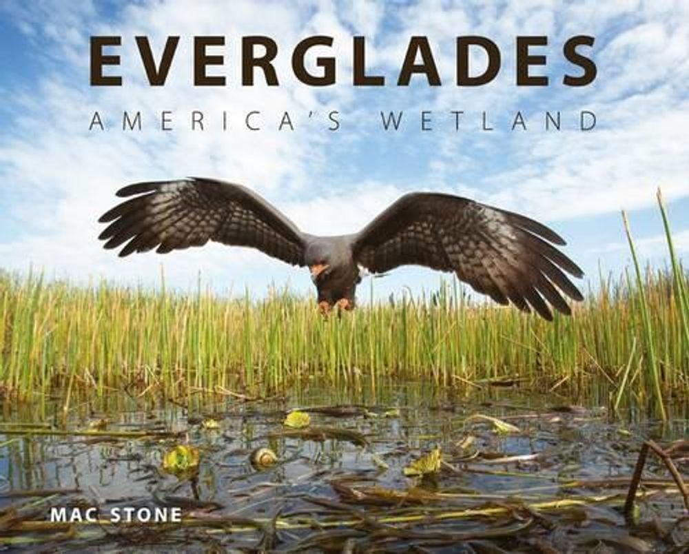 Everglades by Mac Stone - ISBN: 9780813049854