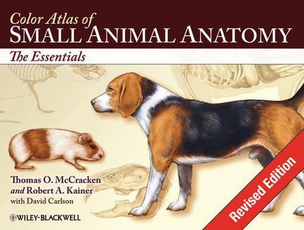 Color Atlas of Small Animal Anatomy, 9780813816081