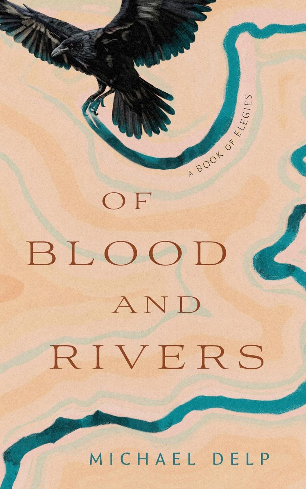 Of Blood and Rivers by Michael Delp - ISBN: 9780814353417