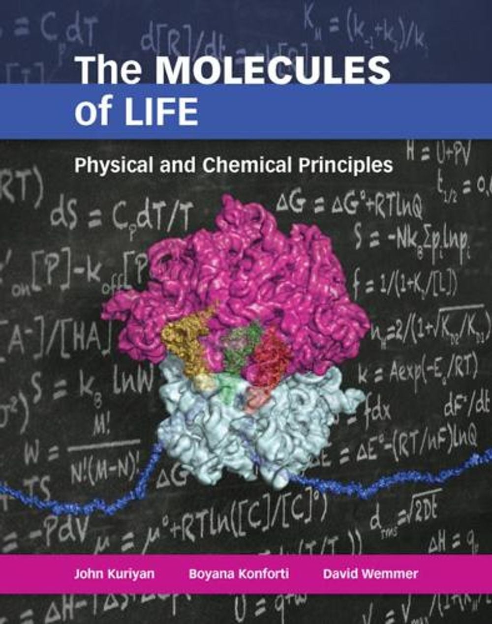 The Molecules of Life by John Kuriyan - ISBN: 9780815341888