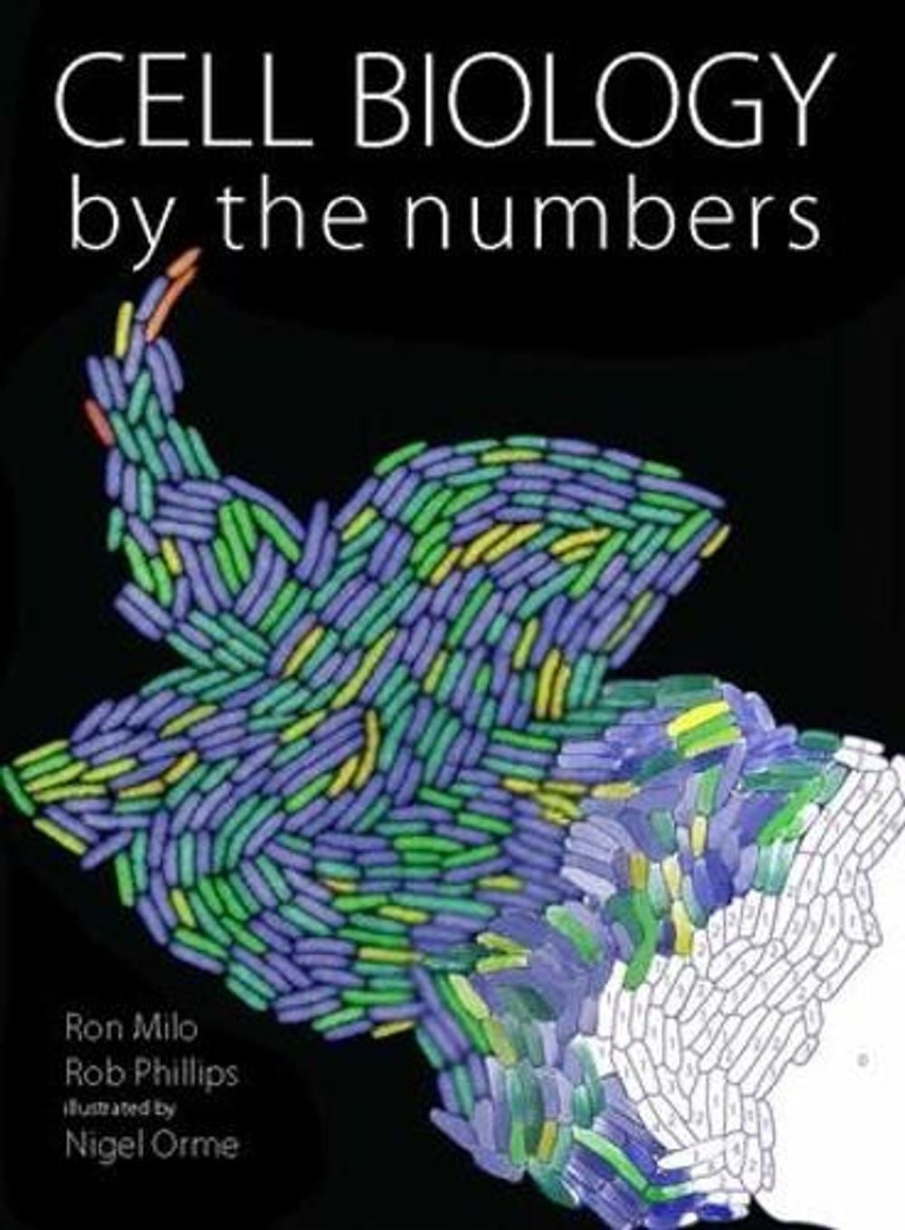 Cell Biology by the Numbers by Ron Milo - ISBN: 9780815345374