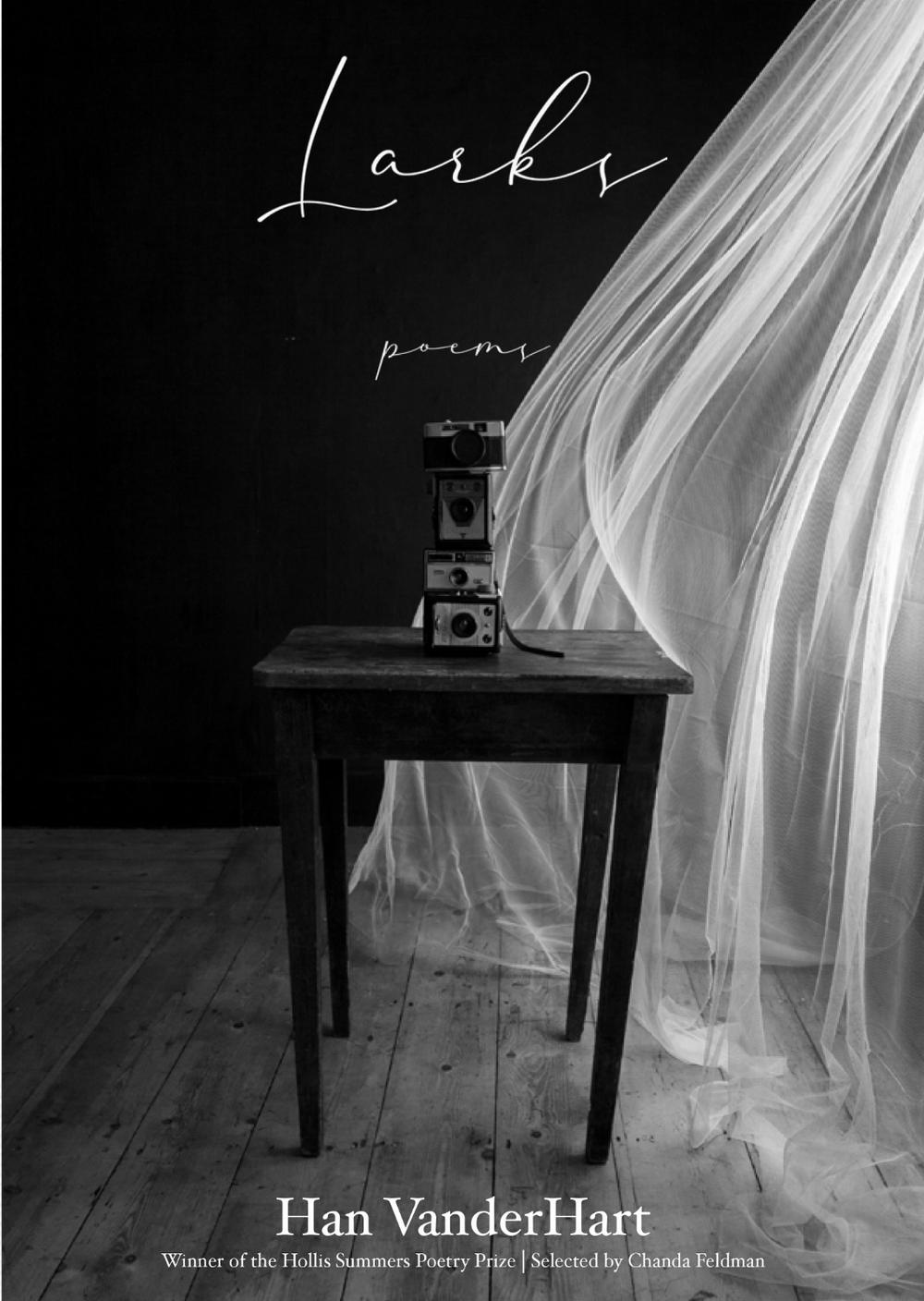 Larks by Han VanderHart - ISBN: 9780821425916