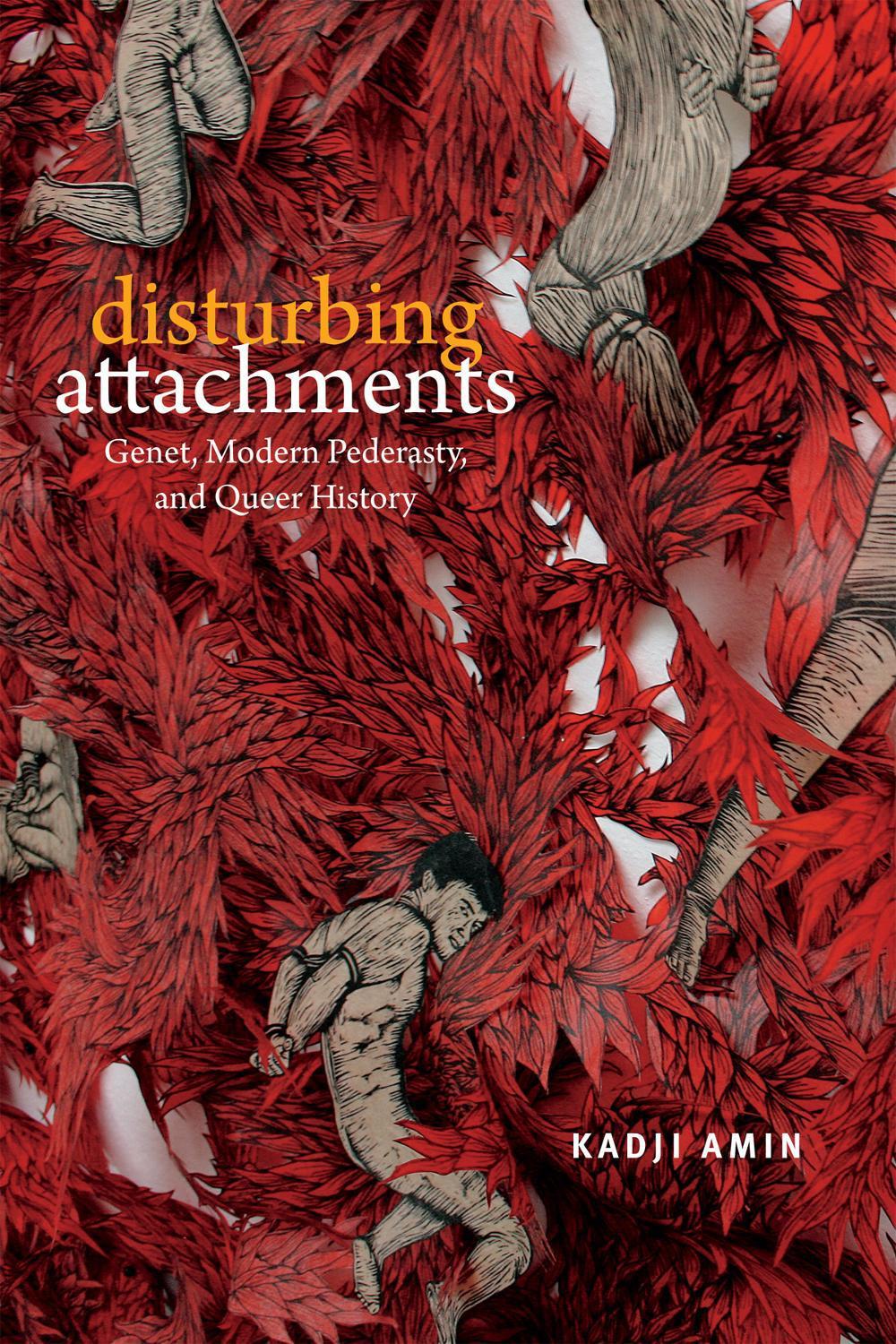 Disturbing Attachments by Kadji Amin - ISBN: 9780822369172