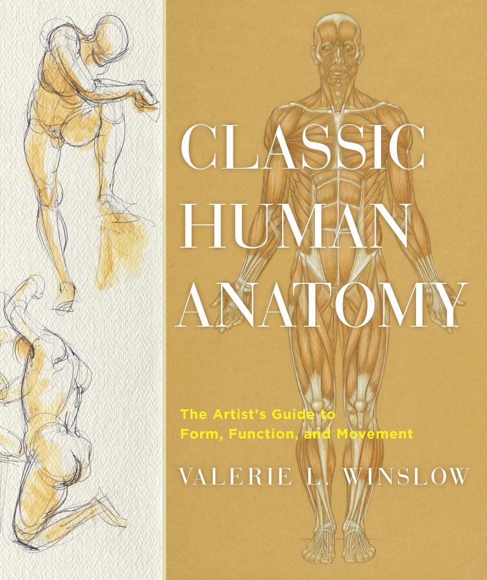 Classic Human Anatomy by V. Winslow - ISBN: 9780823024155
