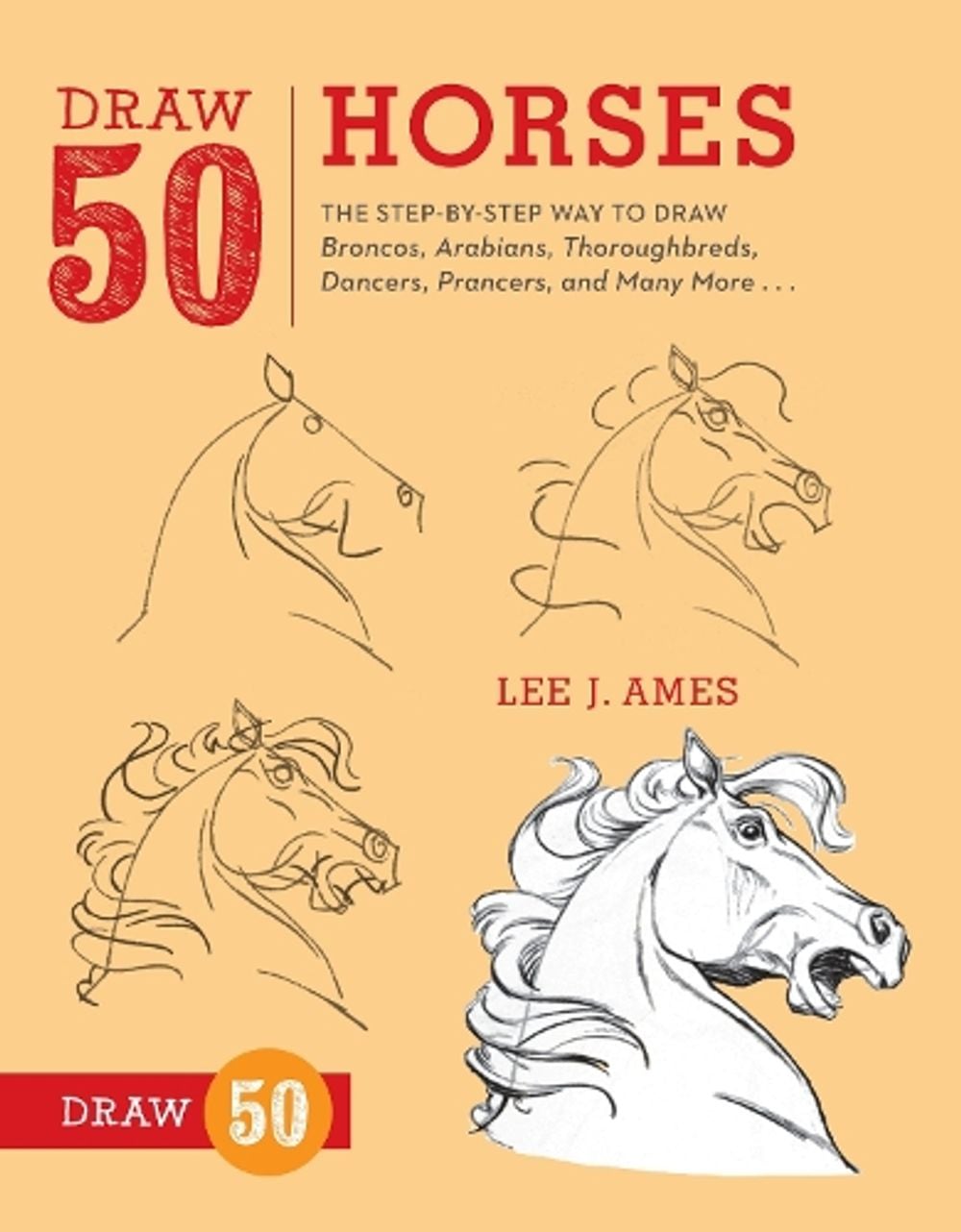Draw 50 Horses by L. Ames - ISBN: 9780823085811