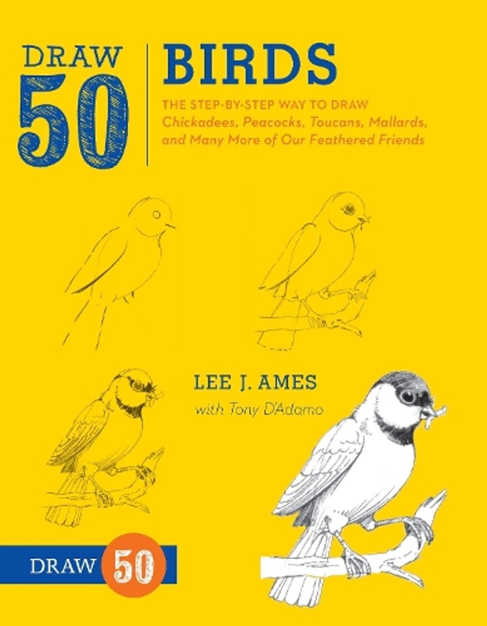 Draw 50 Birds by L. Ames - ISBN: 9780823085989