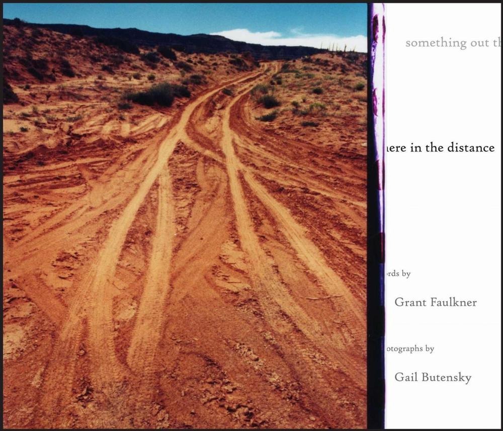 Something Out There in the Distance by Grant Faulkner - ISBN: 9780826368584