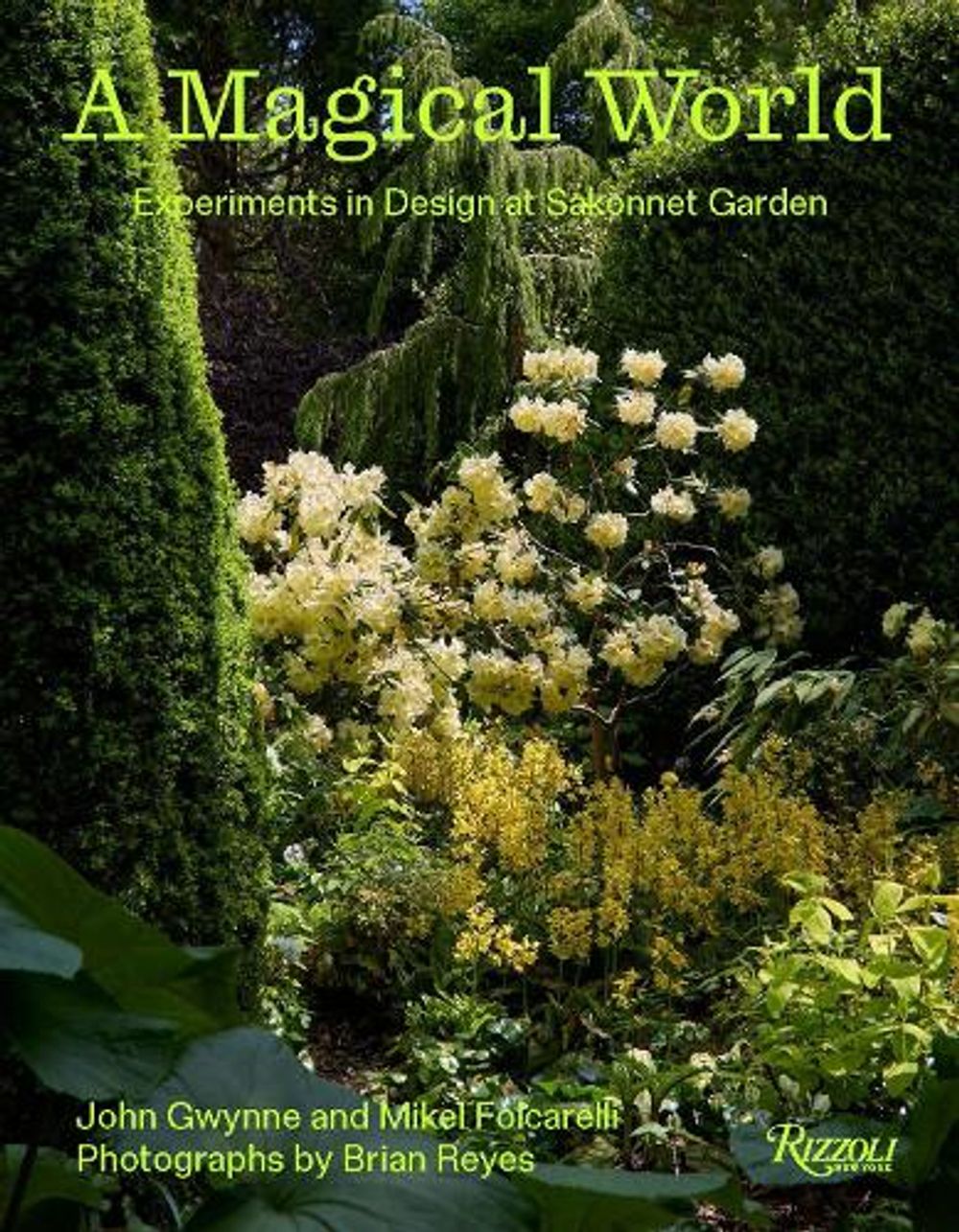 A Magical World by John Gwynne - ISBN: 9780847877836