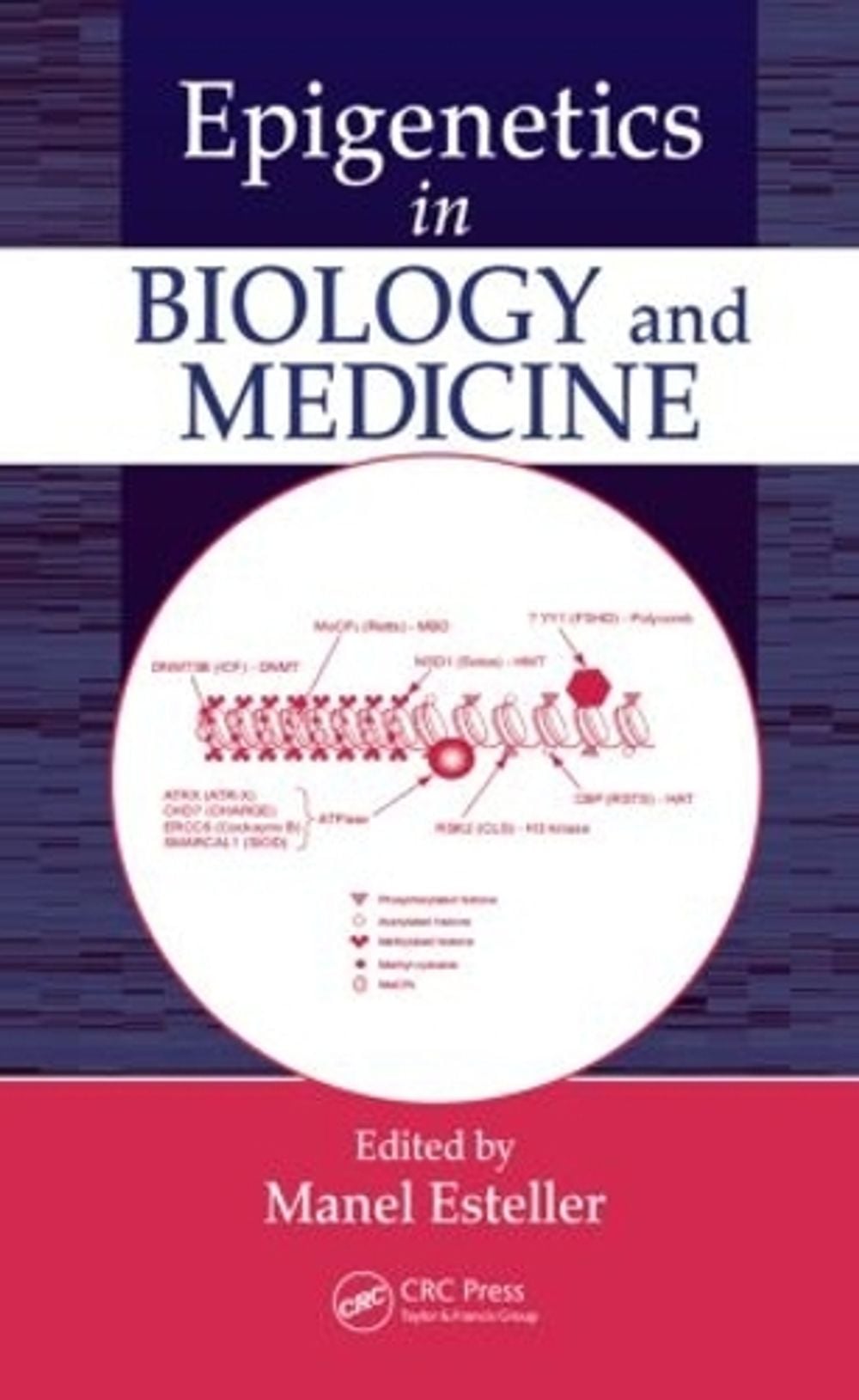 Epigenetics in Biology and Medicine, 1st Edition by Manel Esteller - ISBN: 9780849372896
