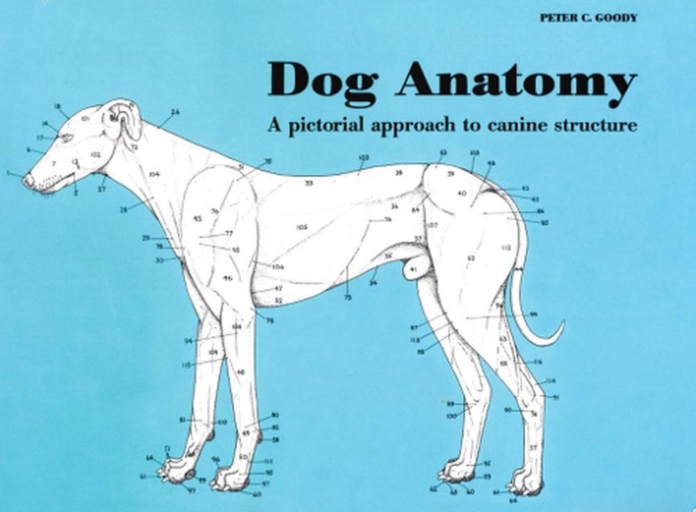 Dog Anatomy, 9780851316369