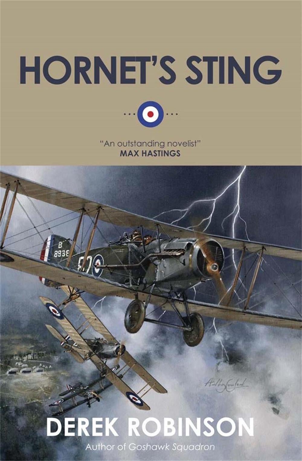 Hornet's Sting by Derek Robinson - ISBN: 9780857052254