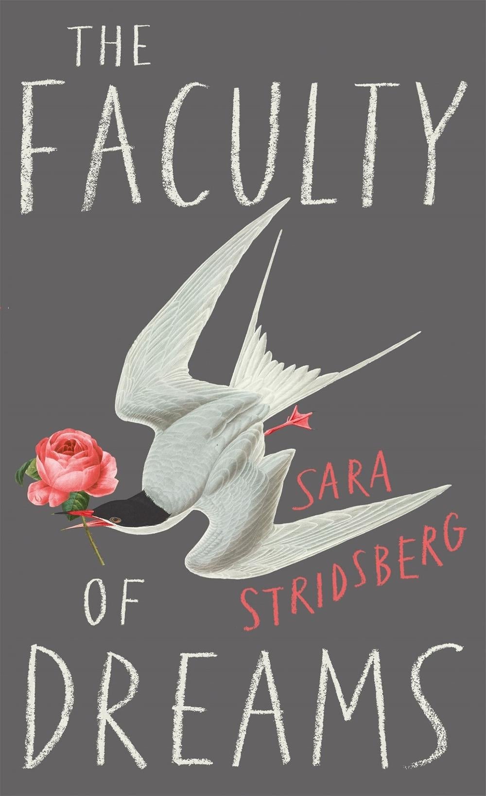 The Faculty of Dreams by Sara Stridsberg - ISBN: 9780857054746